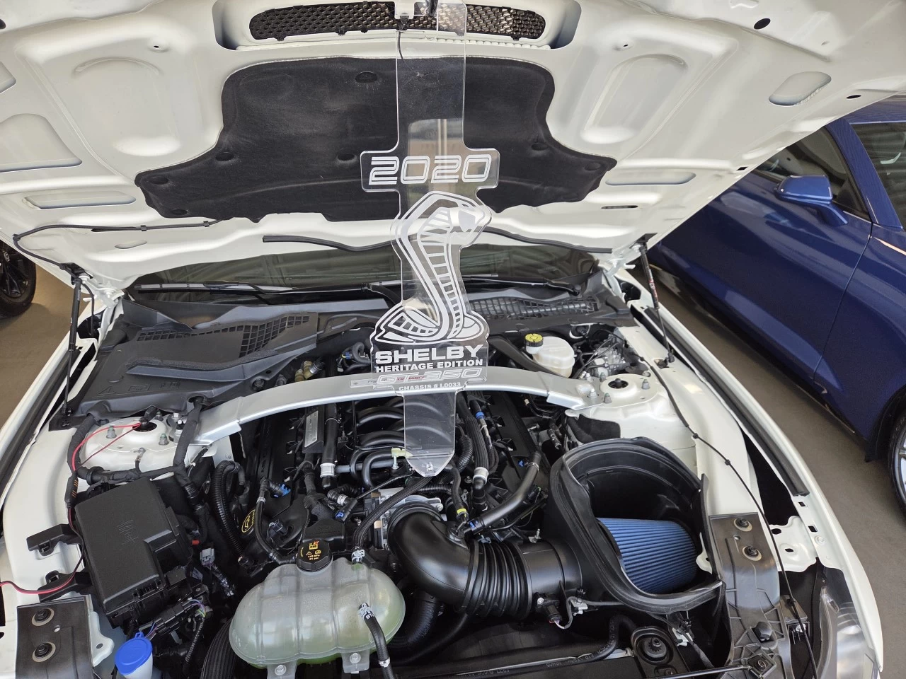 2020 Ford Mustang Shelby Main Image