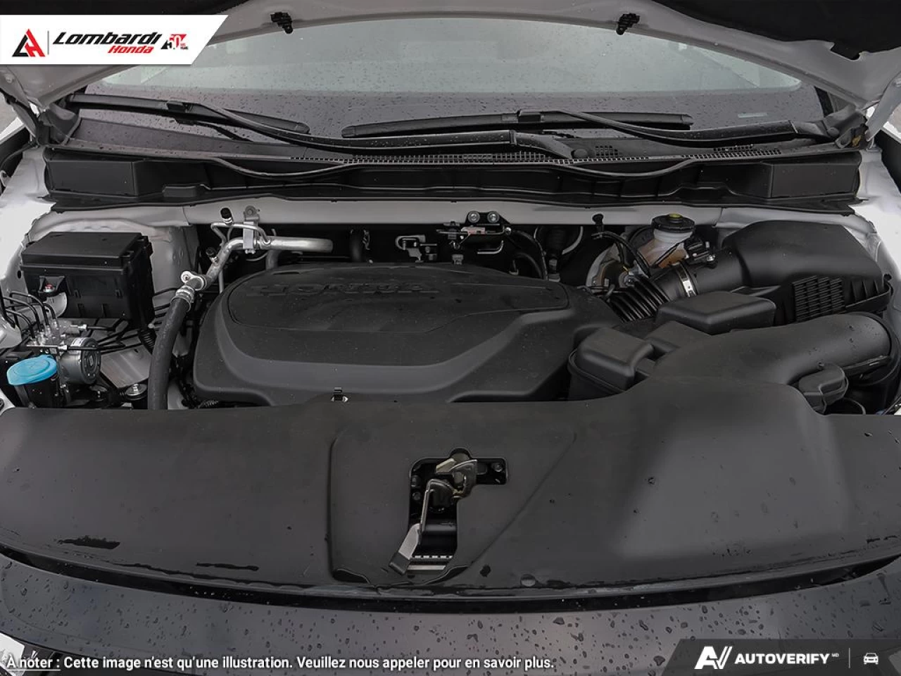2026 HONDA ODYSSEY SPORT-L Image principale
