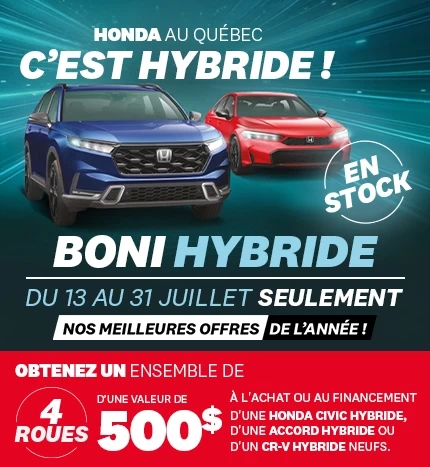 Boni Hybride
