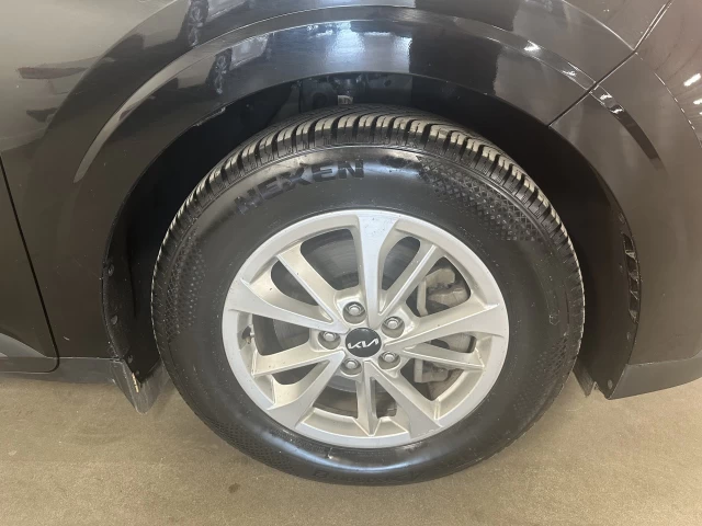 Kia Carnival LX+ 2024