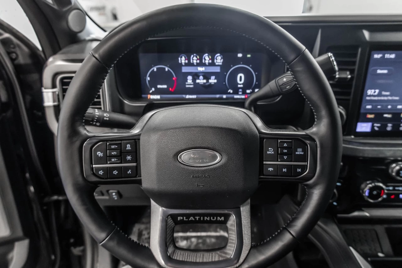 2025 Ford F-250 Platinum Main Image