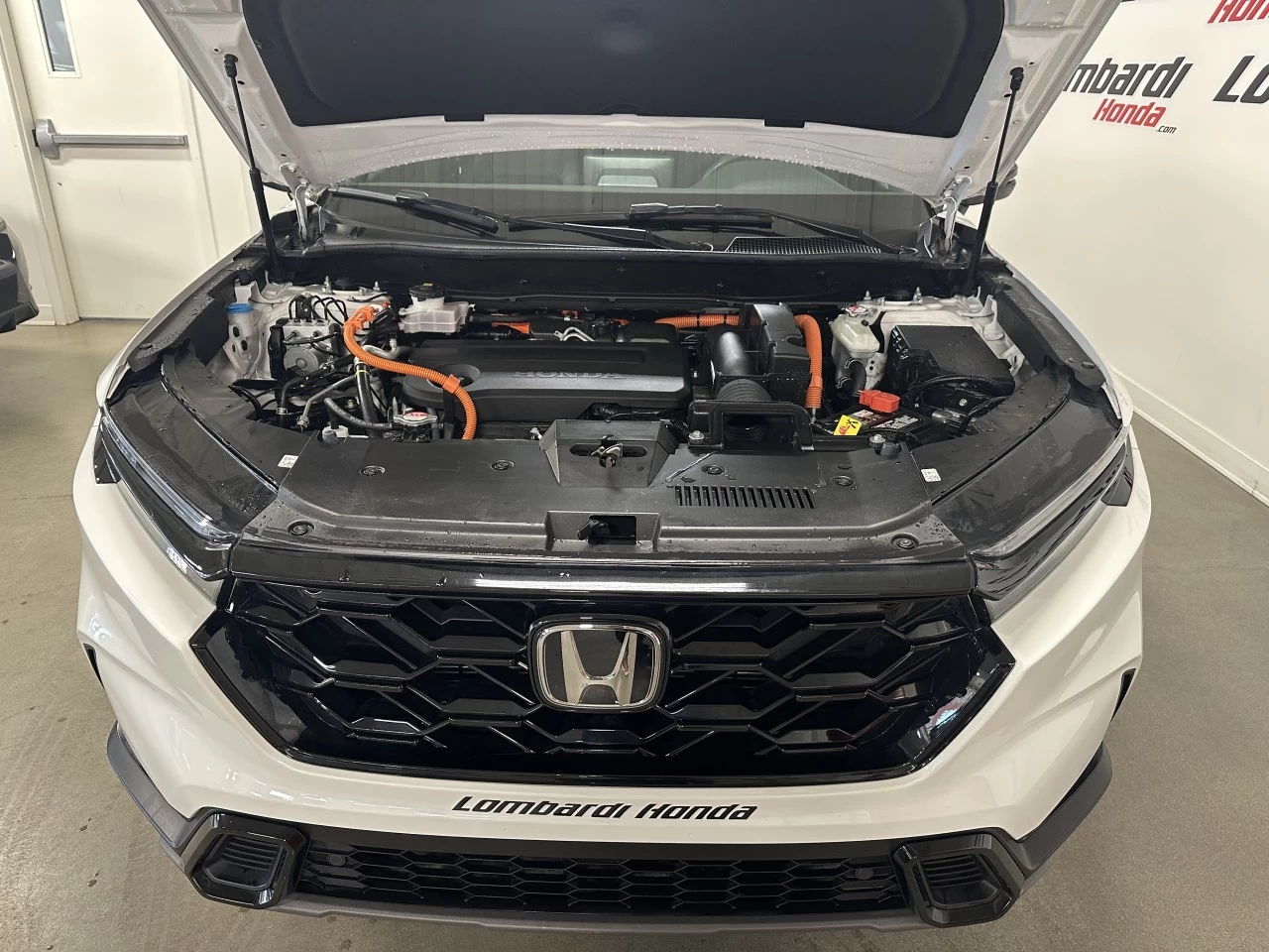 2024 Honda CR-V EX-L Main Image