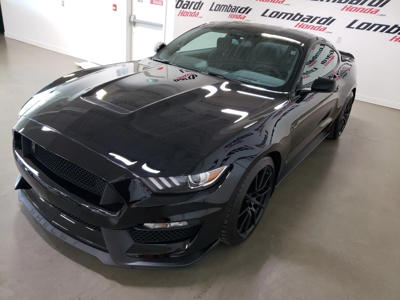 2017 Ford Mustang Shelby https://www.lombardihonda.com/resize/b990ff35b810a3abc0cc817b2ca24889-1