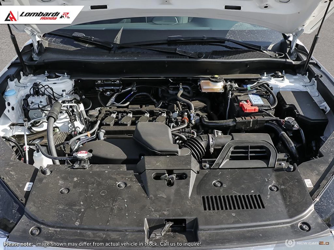 2024 HONDA CR-V LX-B 2WD Main Image