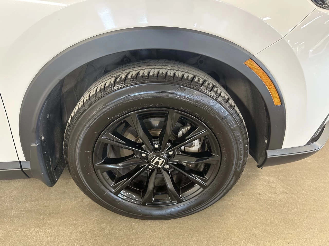 2024 Honda CR-V EX-L Main Image