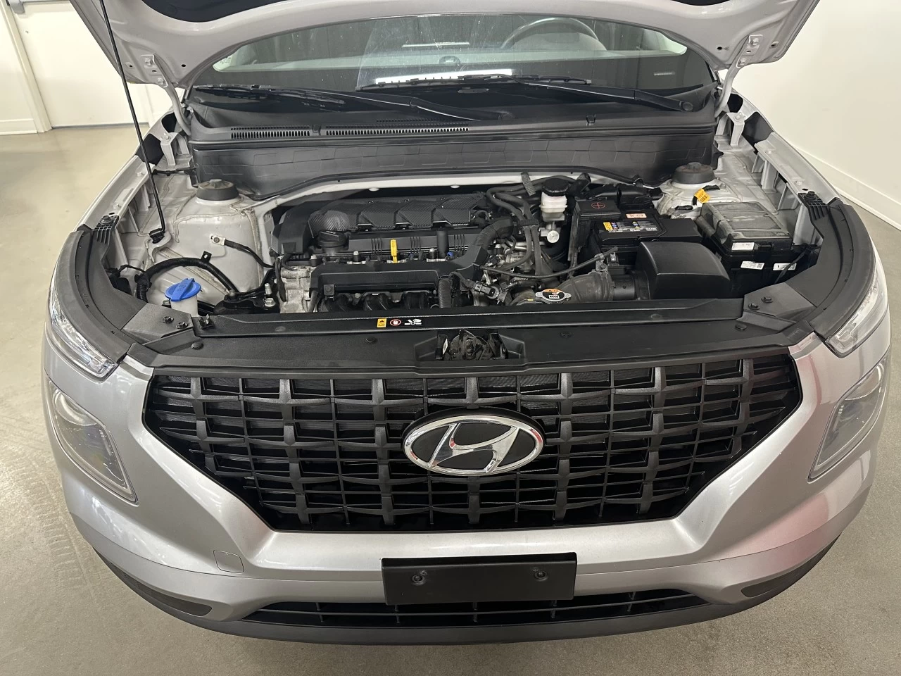 2024 Hyundai Venue Preferred Image principale