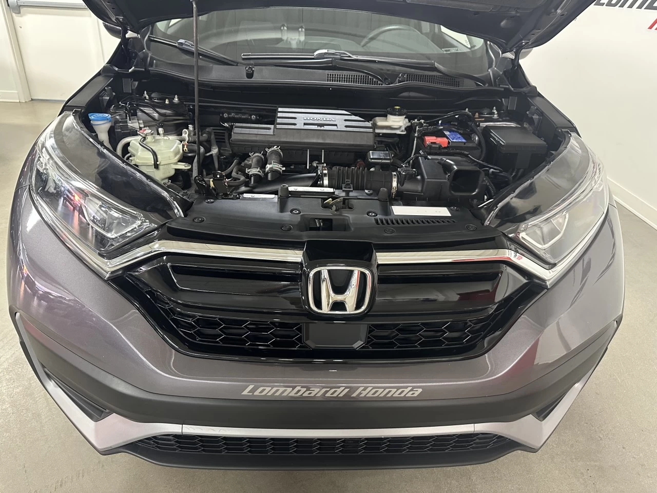 2021 Honda CR-V LX Main Image
