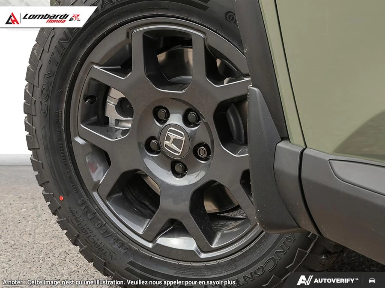 2026 HONDA PILOT TRAILSPORT Main Image