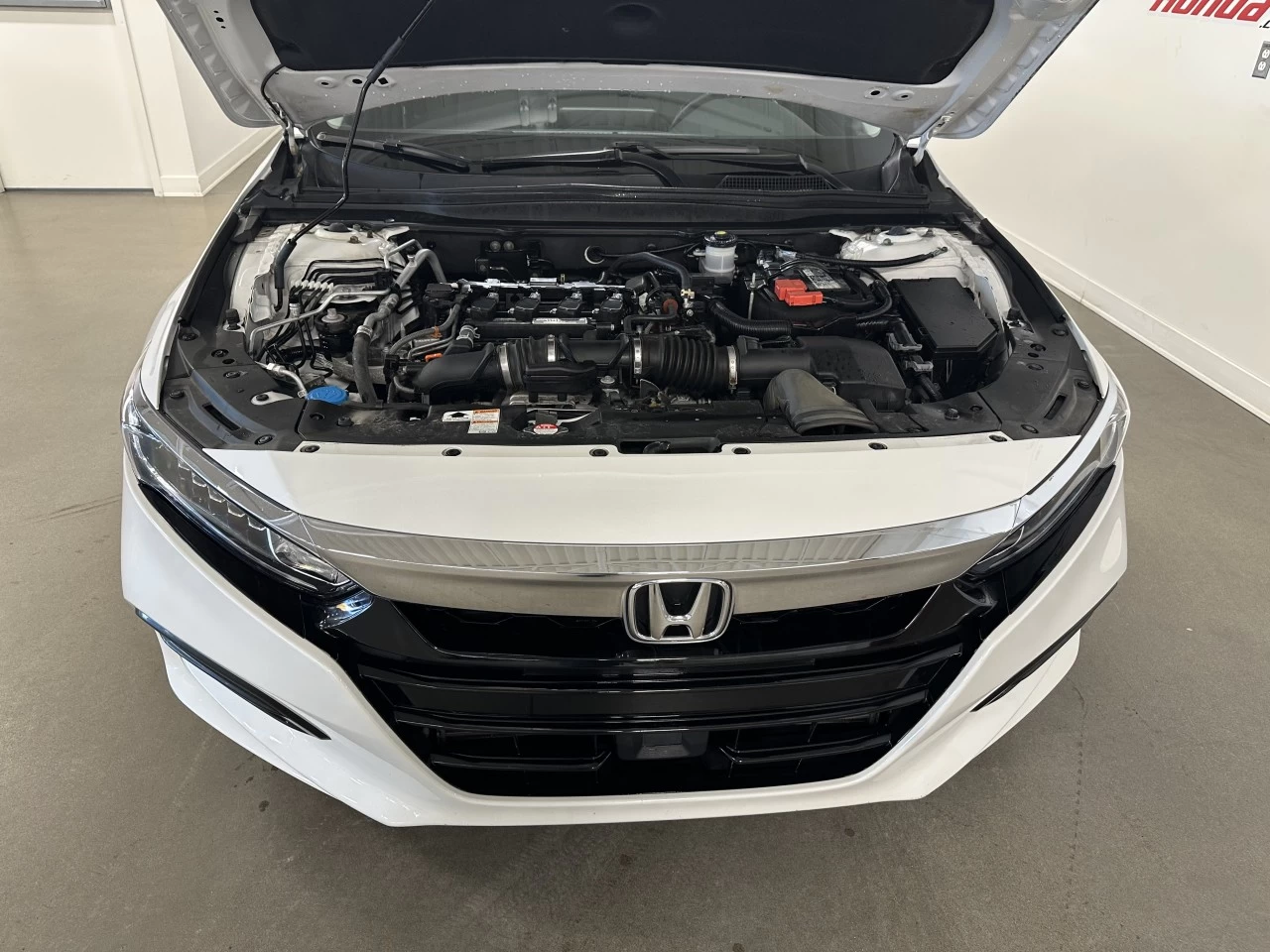 2020 Honda Accord EX-L Main Image