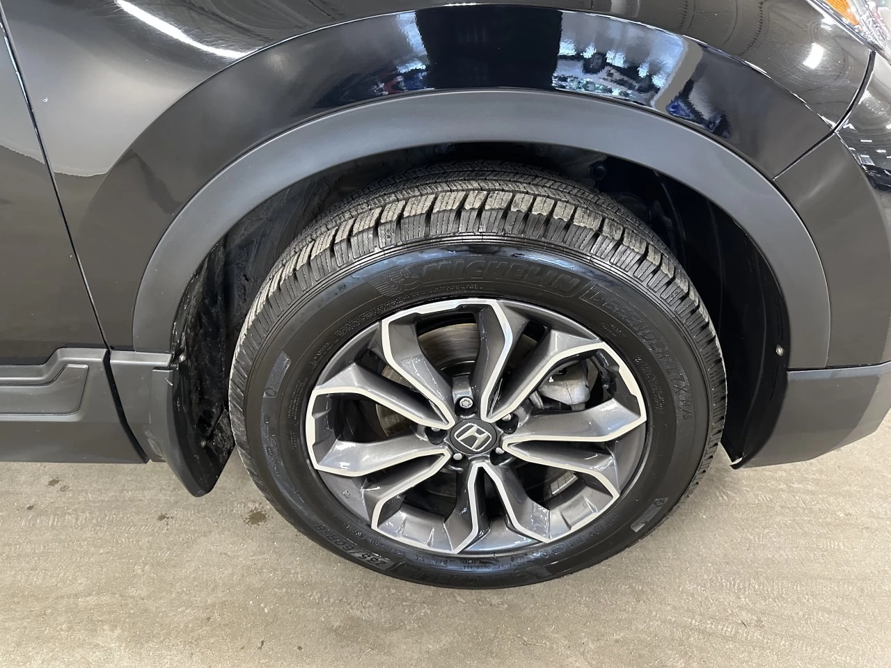 2022 Honda CR-V EX-L Image principale