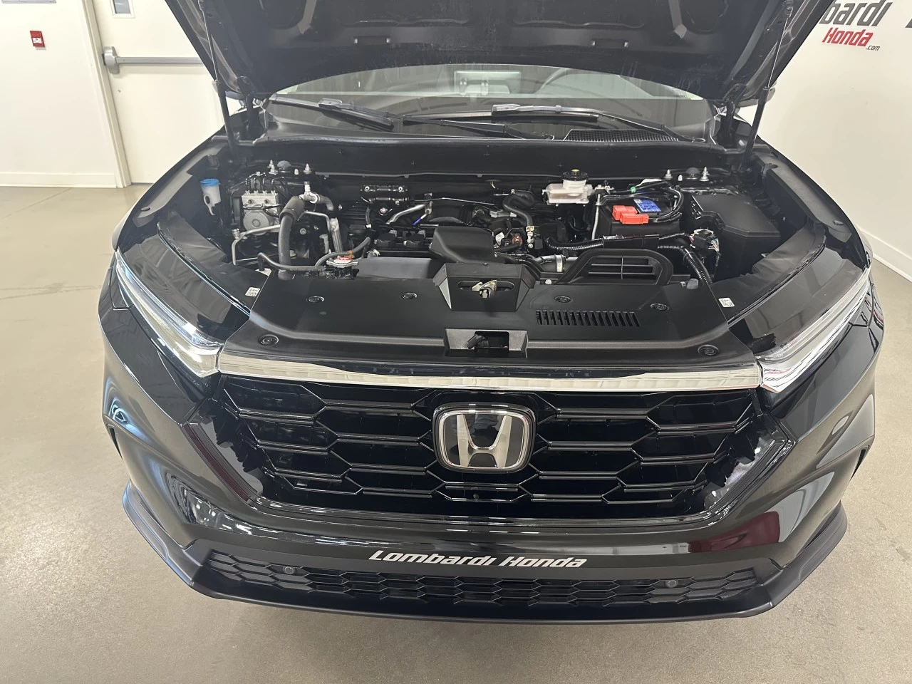 2023 Honda CR-V
                                                    EX-L Image principale