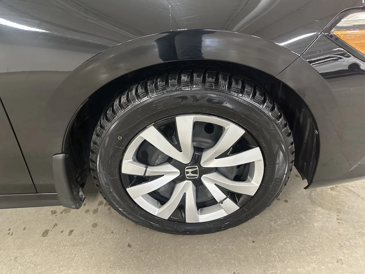 2023 Honda Civic LX Main Image