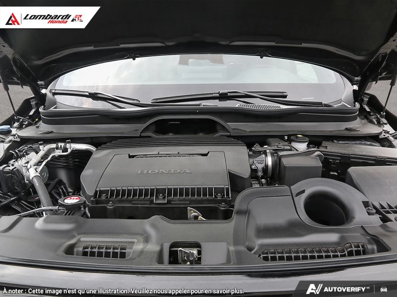 2026 HONDA PASSPORT TRAILSPORT Main Image