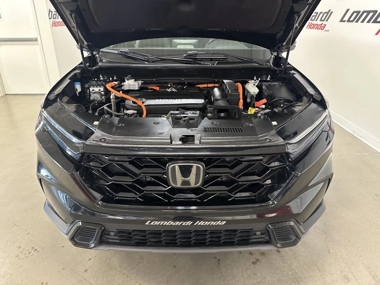 2024 Honda CR-V EX-L Image principale