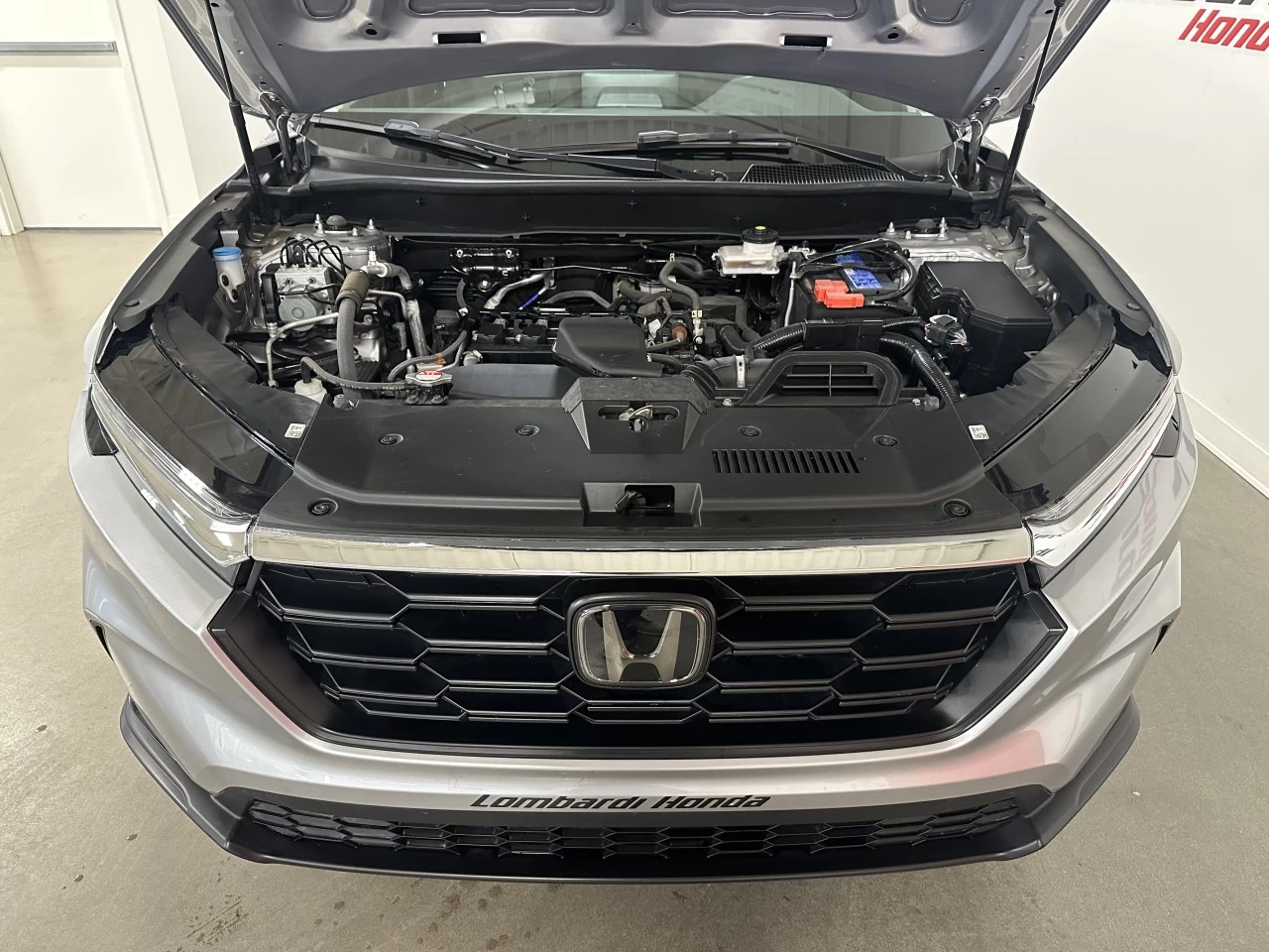 2024 Honda CR-V LX-B Main Image