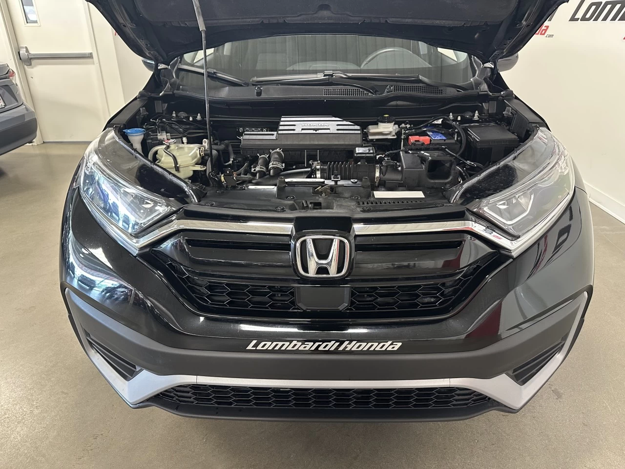 2021 Honda CR-V
                                                    LX Main Image