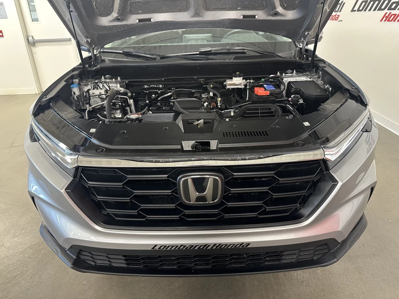 2024 Honda CR-V LX-B Main Image