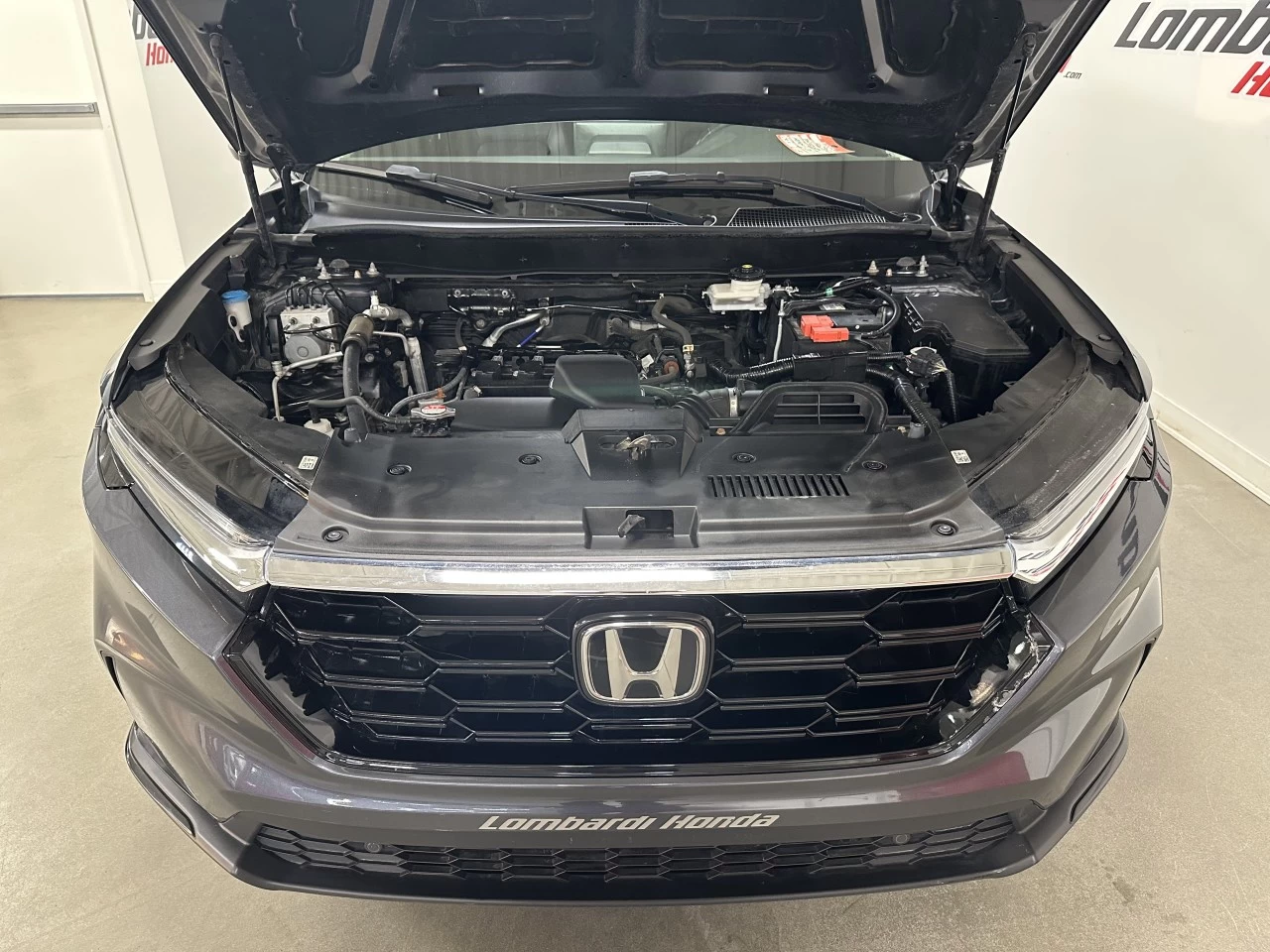 2023 Honda CR-V EX-L Main Image