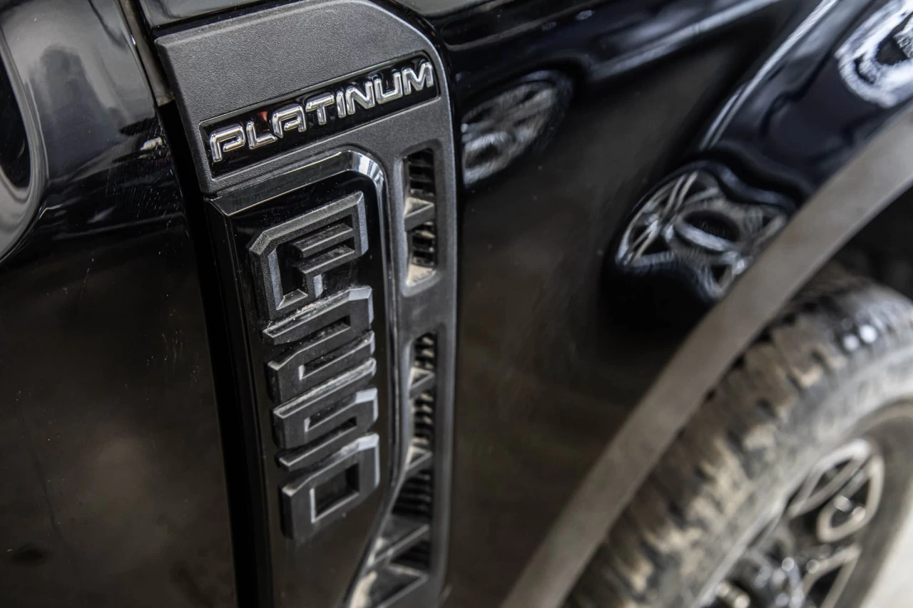 2025 Ford F-250 Platinum Main Image