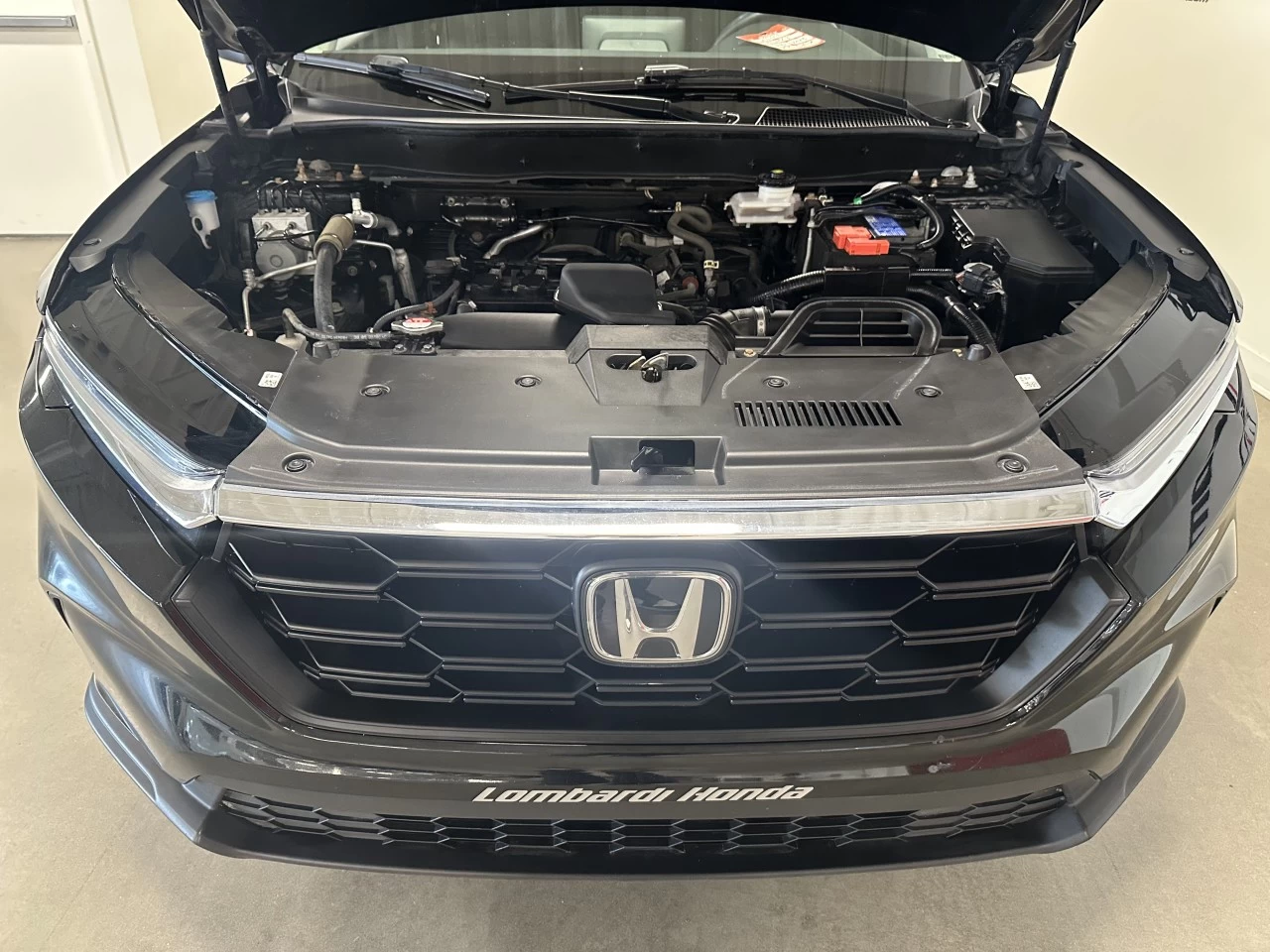 2023 Honda CR-V LX Main Image