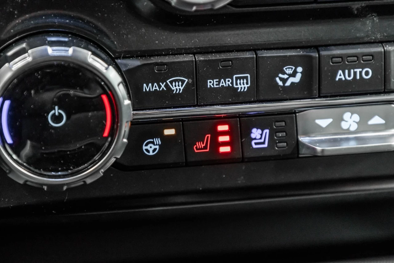 2025 Ford F-250 Platinum Main Image