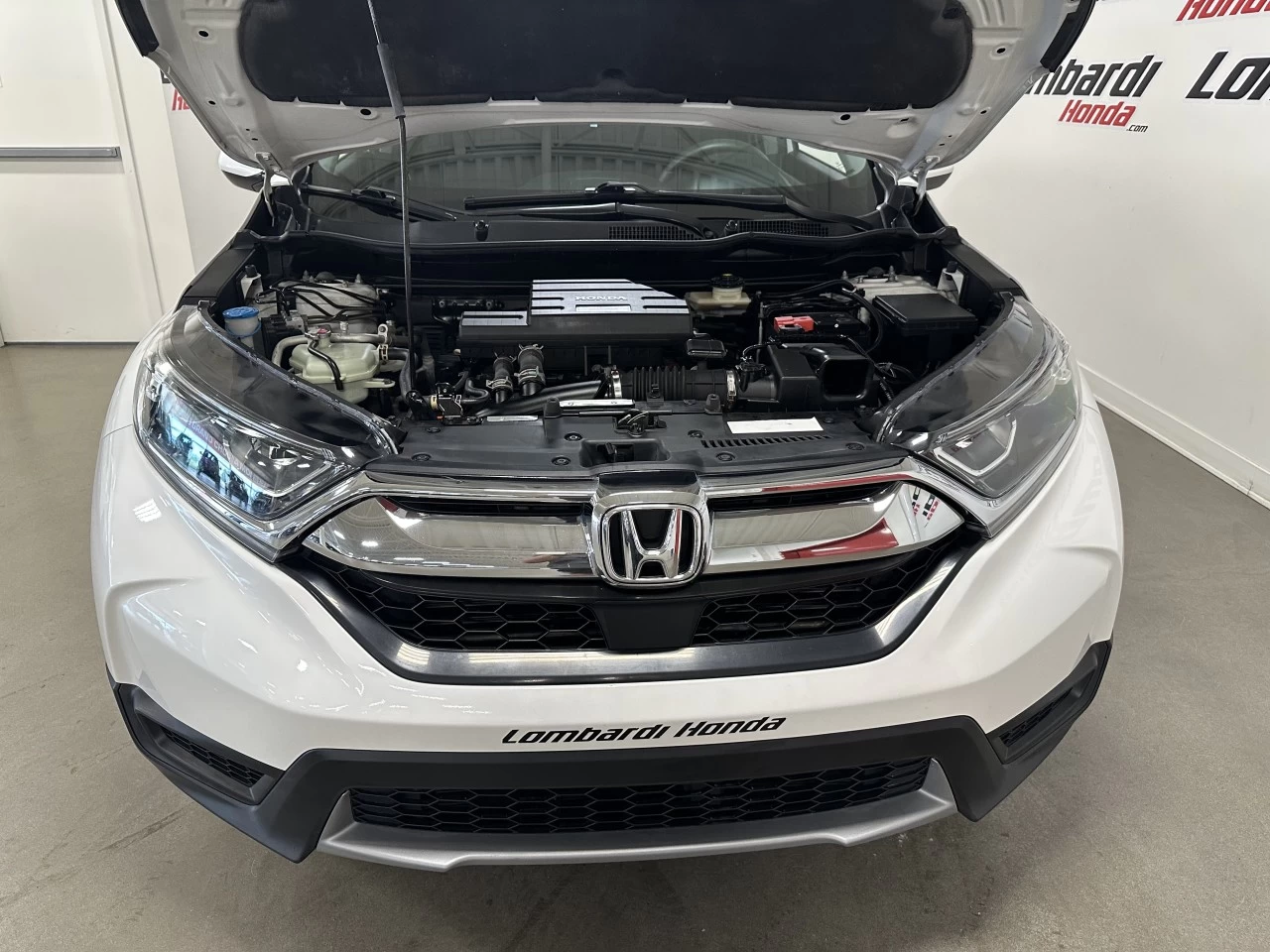 2019 Honda CR-V LX Image principale