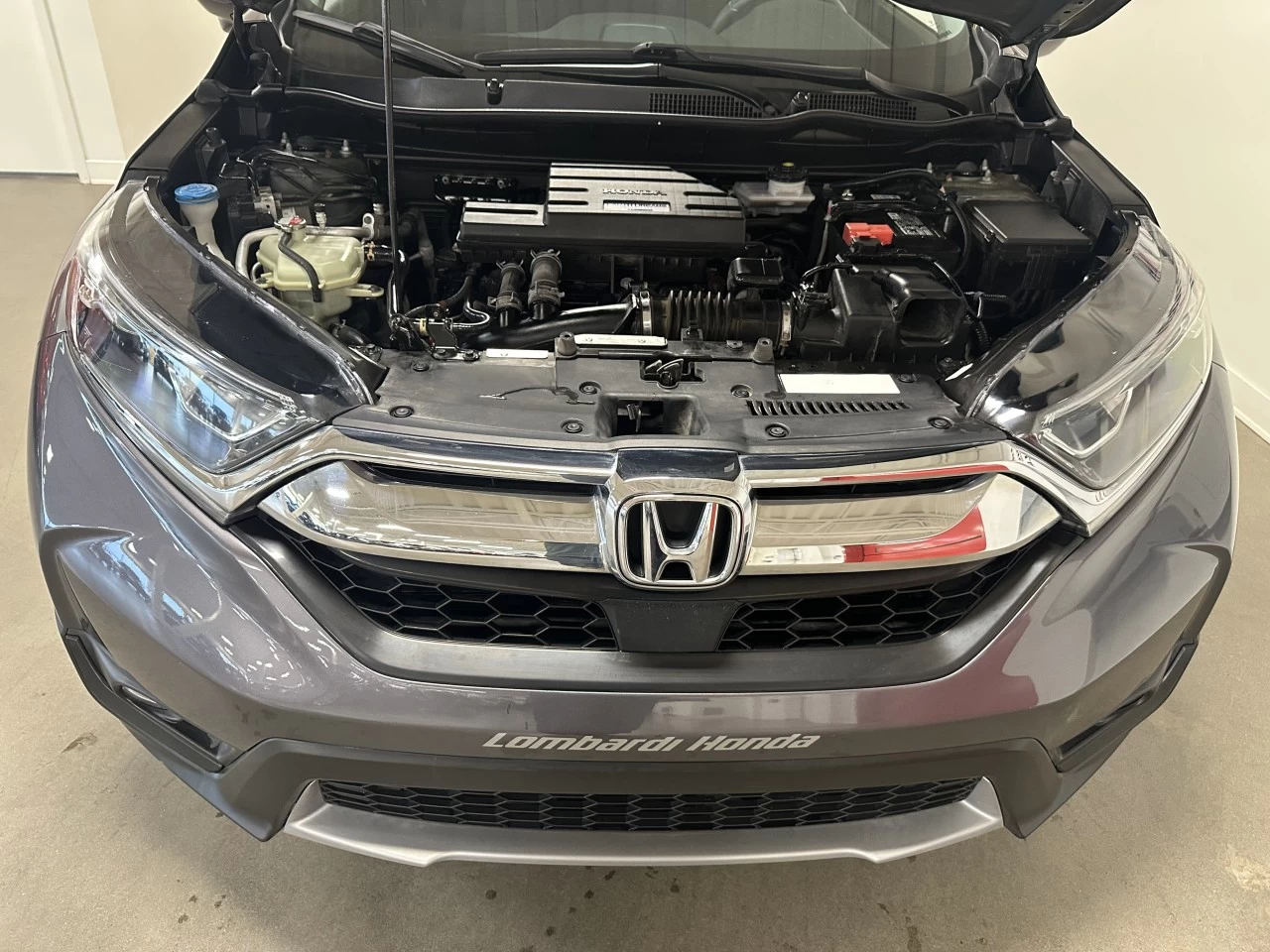 2019 Honda CR-V EX Main Image