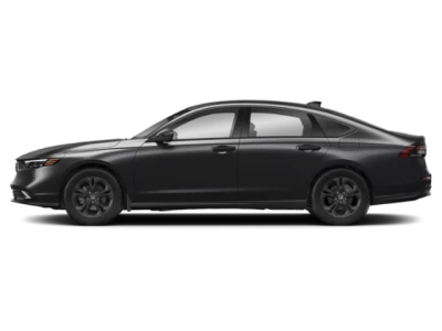 Profile, Facing to the Left