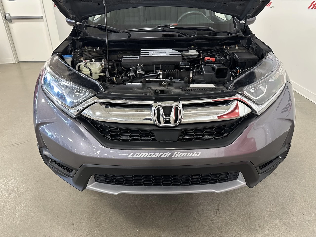 2019 Honda CR-V LX Image principale