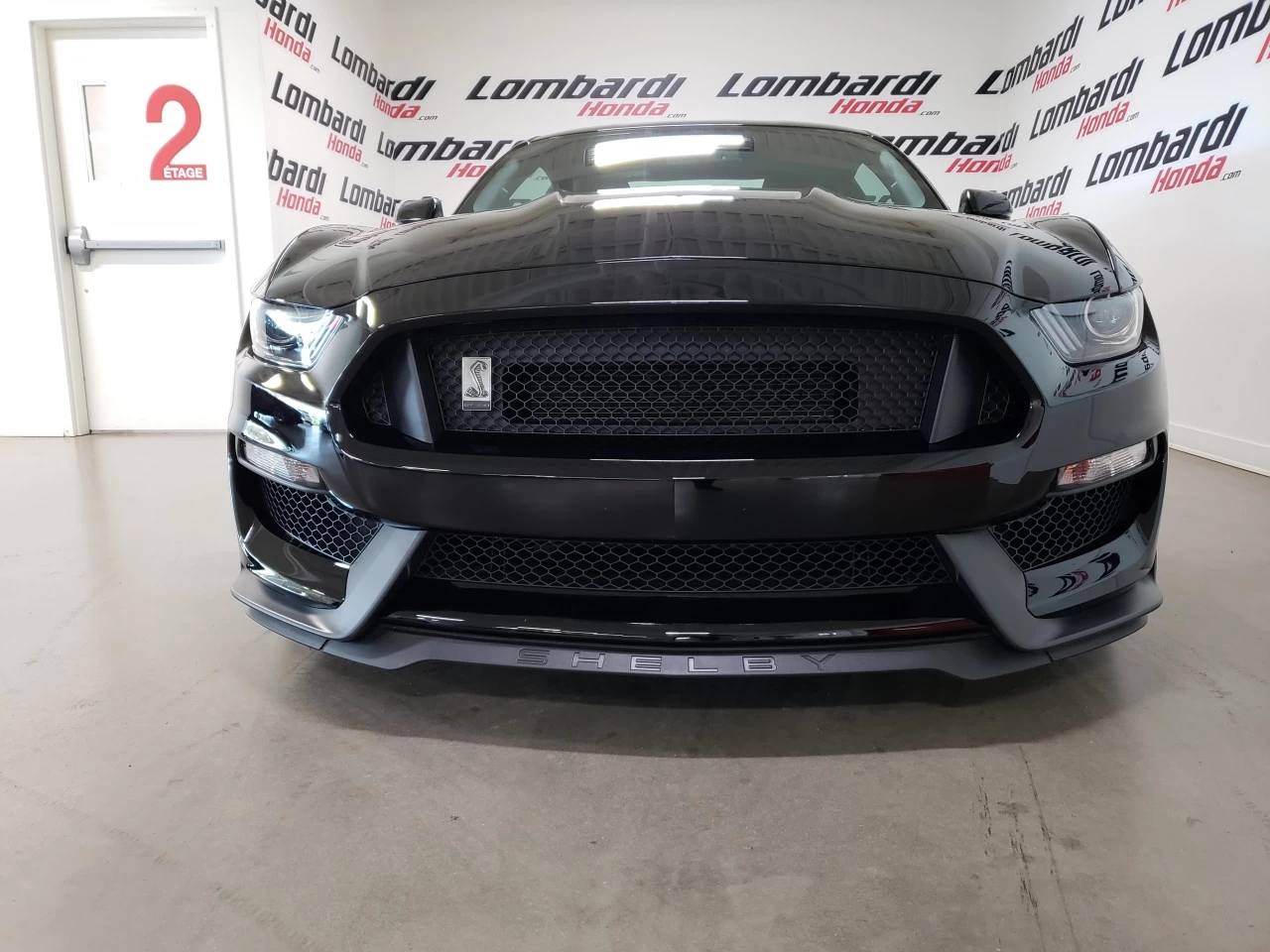 2017 Ford Mustang Shelby https://www.lombardihonda.com/resize/b990ff35b810a3abc0cc817b2ca24889-1