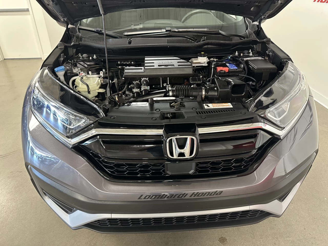 2022 Honda CR-V
                                                    LX Main Image