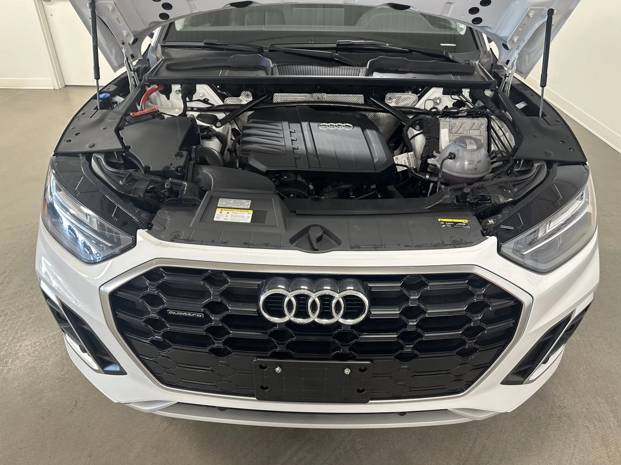 2023 Audi Q5 Progressiv Image principale