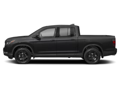 Profile, Facing to the Left