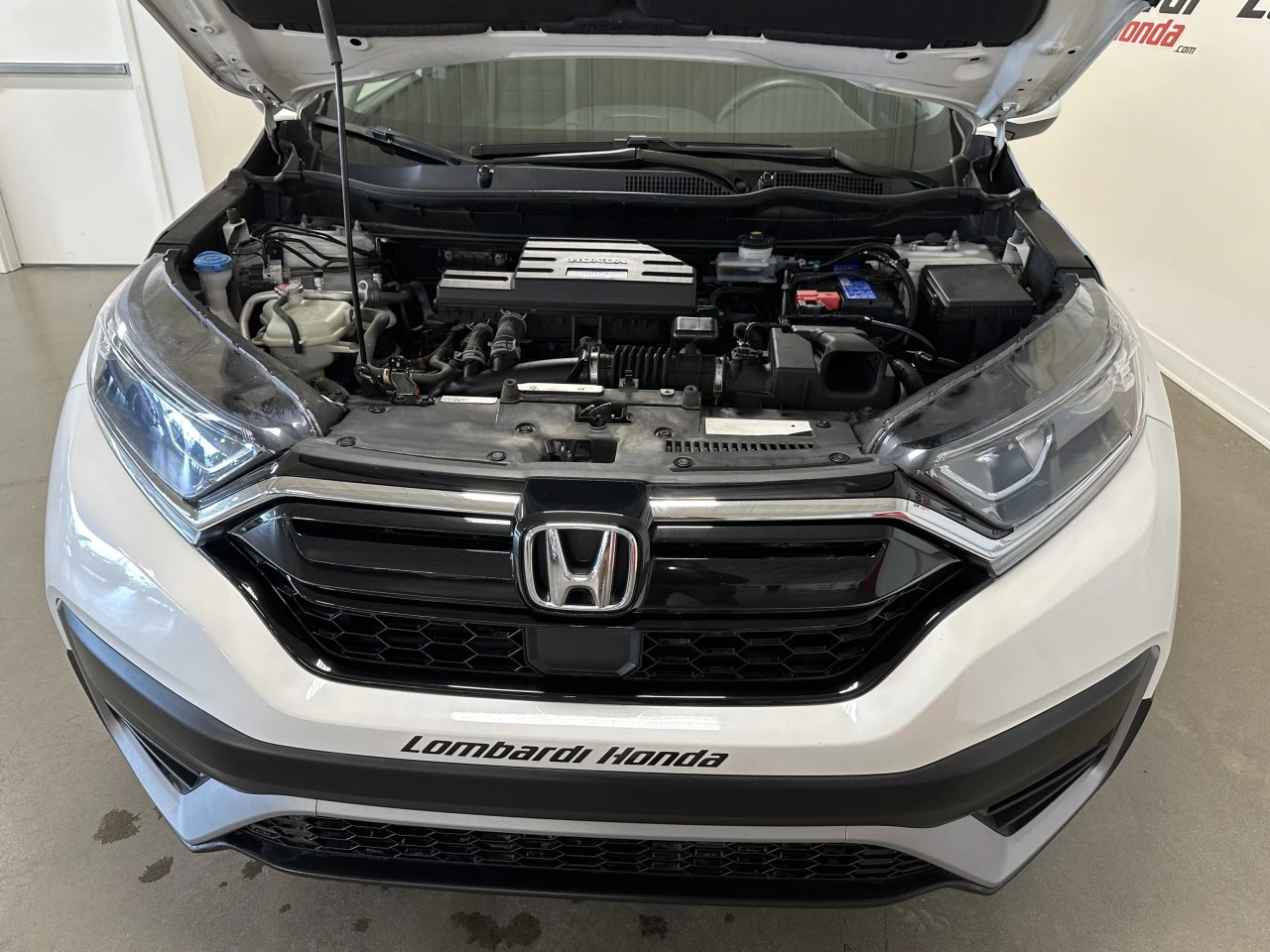 2020 Honda CR-V
                                                    LX Main Image
