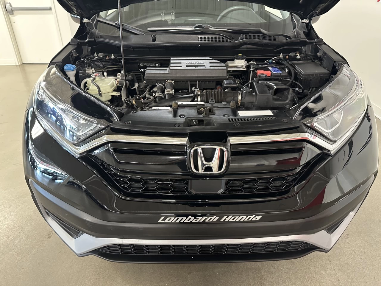 2022 Honda CR-V LX Image principale