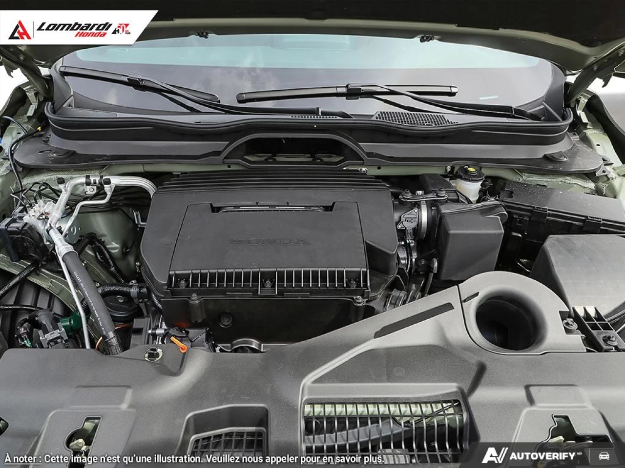 2026 HONDA PILOT TRAILSPORT Main Image