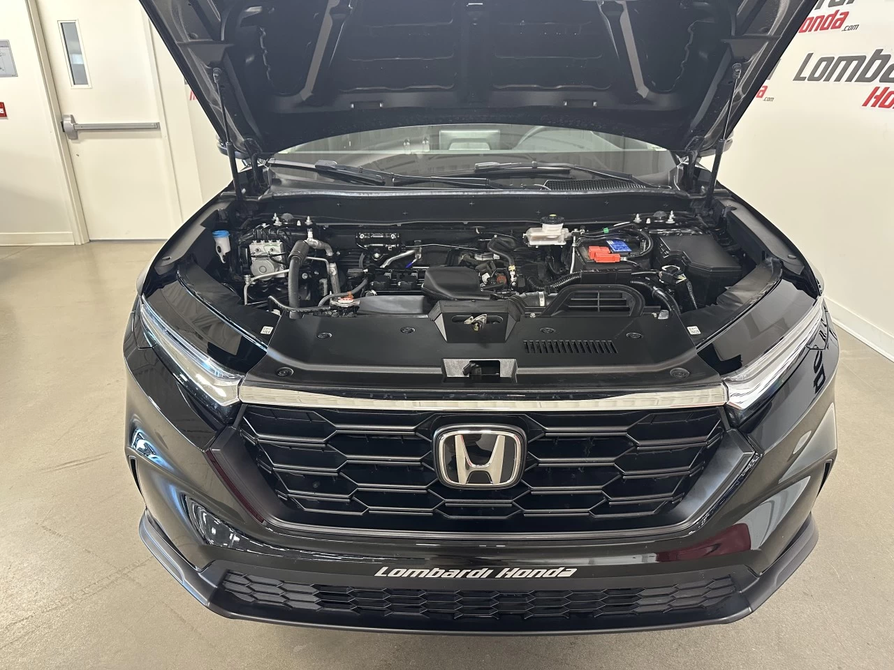 2023 Honda CR-V LX Main Image