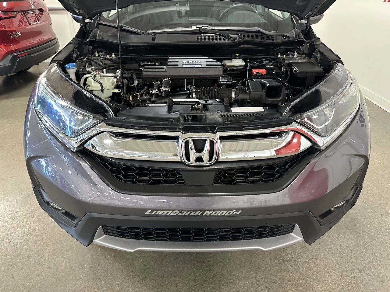 2019 Honda CR-V
                                                    EX-L Main Image