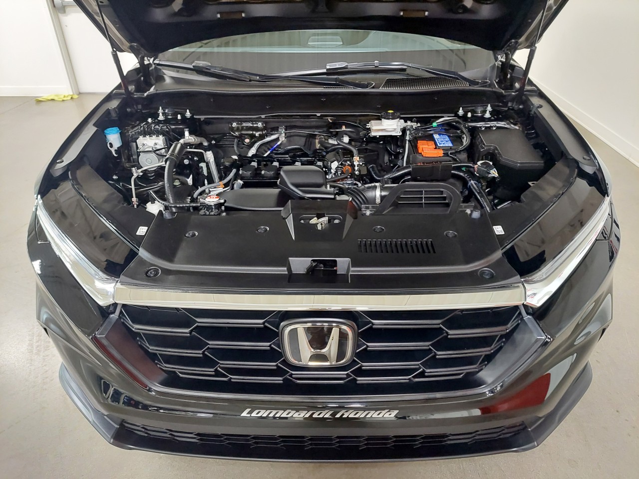 2023 Honda CR-V LX Main Image