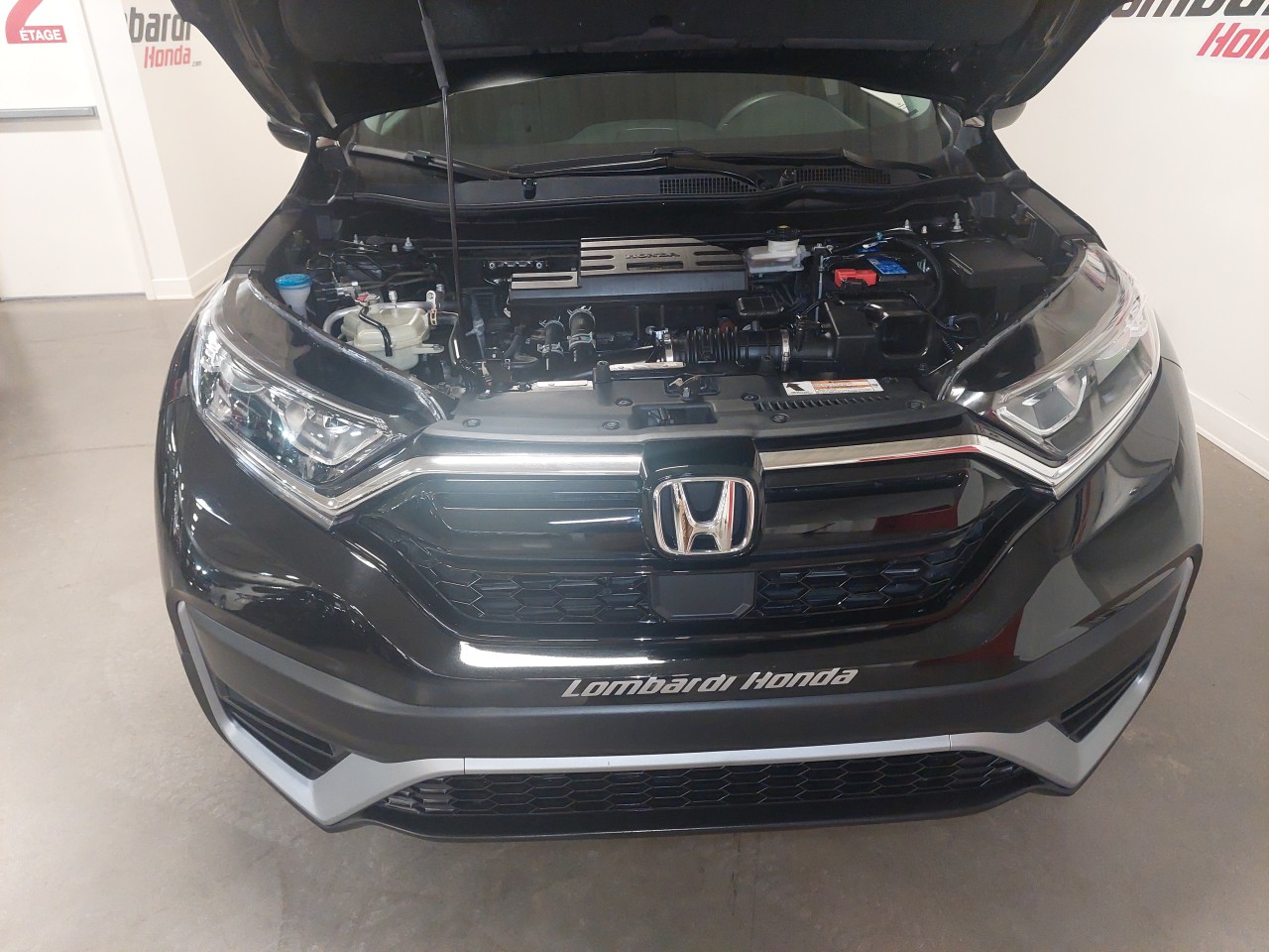 2022 Honda CR-V LX Main Image
