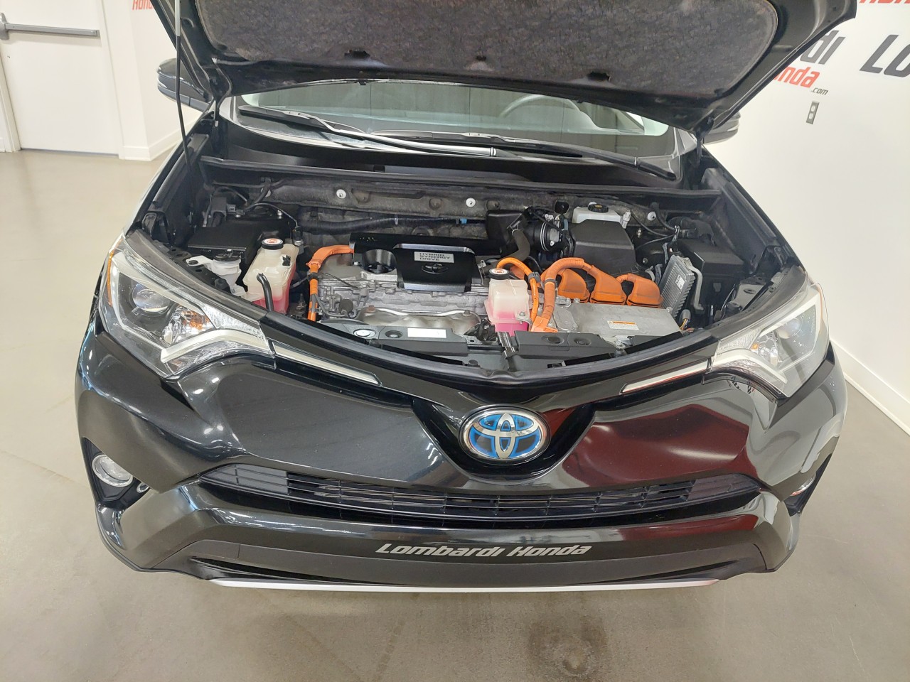 2018 Toyota RAV4 Hybrid LE+ Main Image